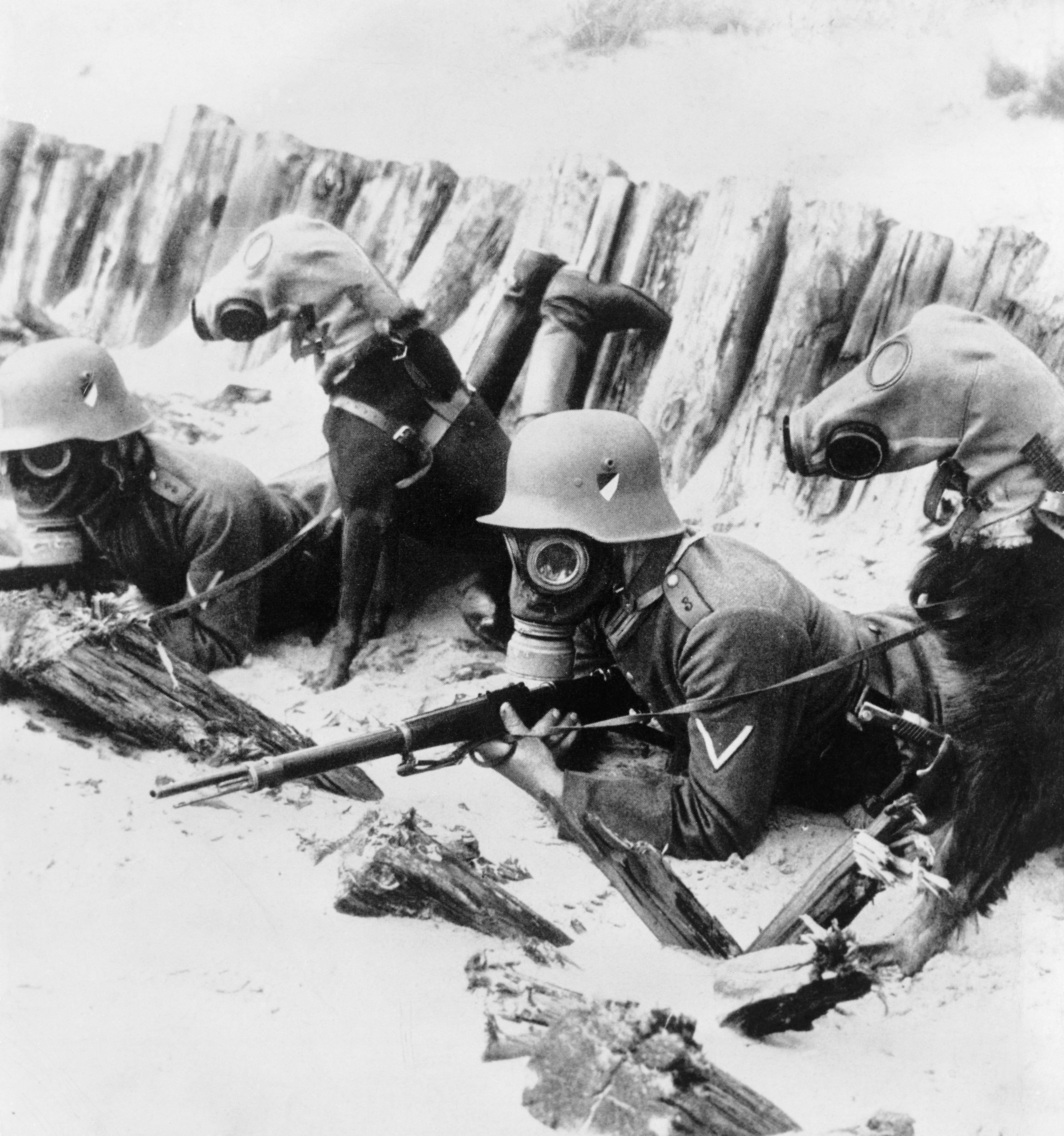 nemecký vojaci so psami 1SV