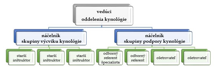 oddkynologiestruktura